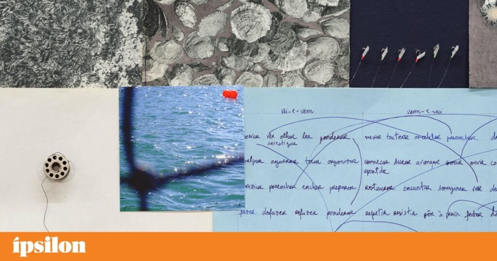 Cristina Robalo e a poética visual das profundezas e texturas