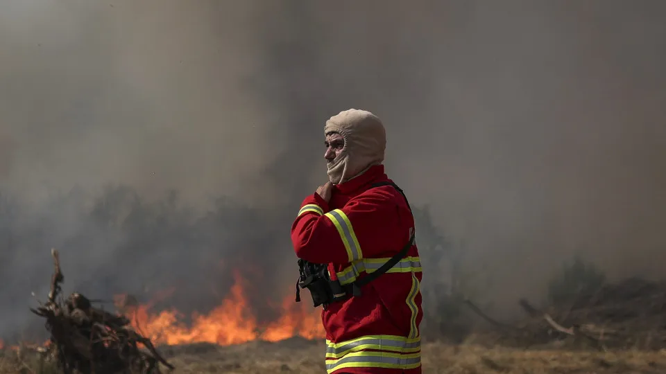 Viseu recebe treinamento internacional de elite para enfrentar incêndios rurais de grande porte