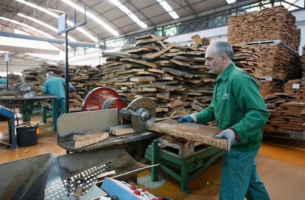 Corticeira Amorim enfrenta queda de lucro e retração nas vendas no início de 2024
