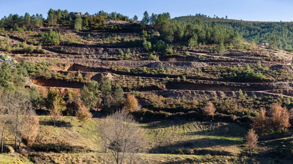 Portugal atinge limite de recursos naturais e entra em déficit ecológico