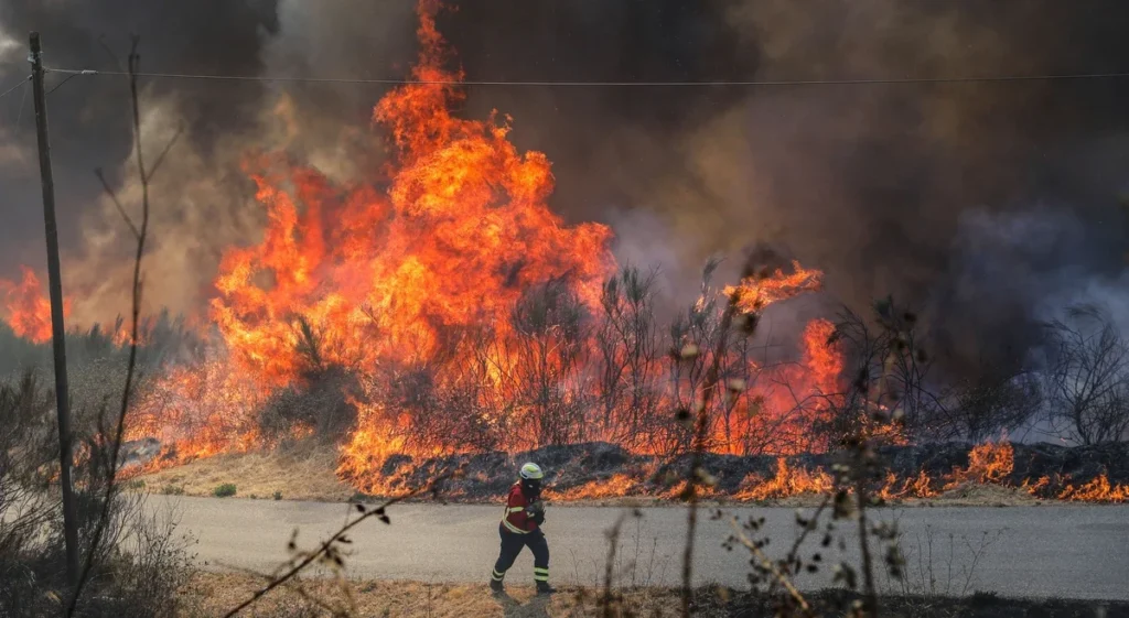 Proteção Civil alerta para alto risco de incêndios em Portugal, com foco em Pedrógão Grande