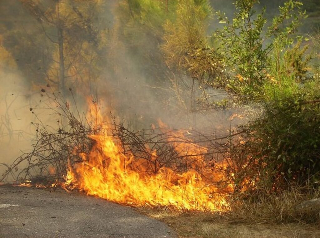 Fogo em vegetação de Faro consome veículos de locadora e mobiliza 38 agentes