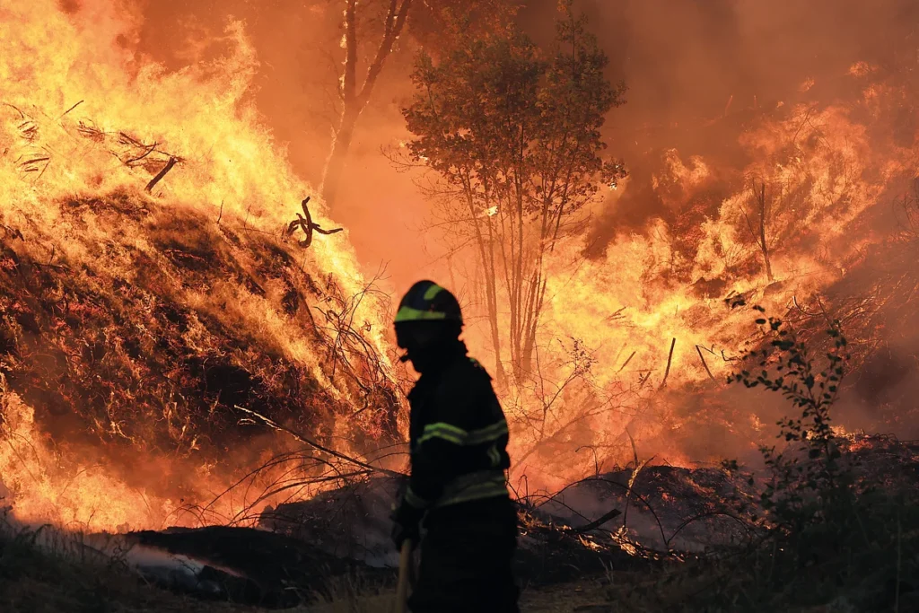 Balanço da proteção civil aponta mais de 250 detidos por incêndios florestais