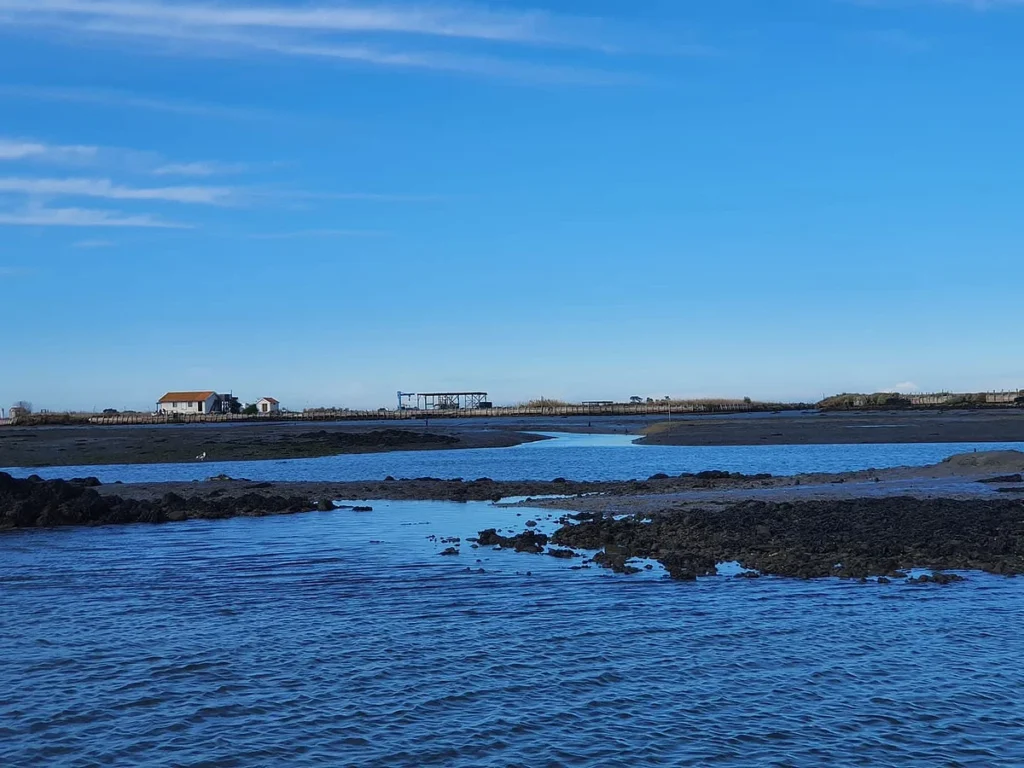 Ilha na ria de Aveiro é rel Leiloada por 690 mil euros com desconto de 60 mil