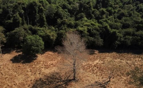 2023-01-04t011928z_1_lynxmpej0300u_rtroptp_3_brazil-environment.jpg