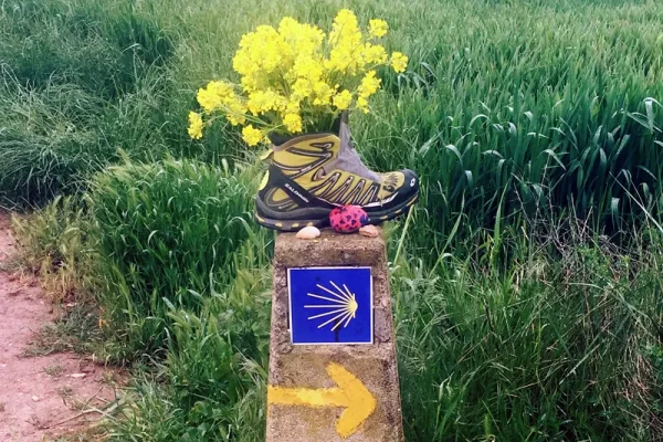 Imagem-7-Setas-amarelas_op2