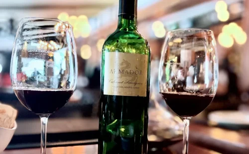 A revolução silenciosa dos vinhos chilenos de boutique contra a padronização