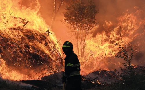 Balanço da proteção civil aponta mais de 250 detidos por incêndios florestais