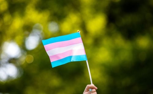 bandeira_trans.jpg