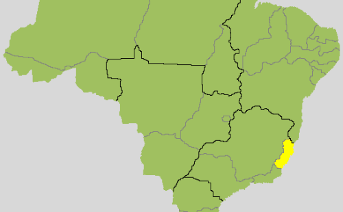 Eleições 2026 no Espírito Santo Lorenzo Pazolini e Ricardo Ferraço disputam o governo no segundo turno