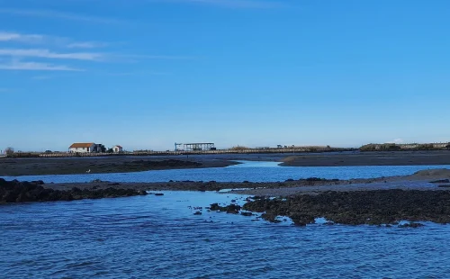 Ilha na ria de Aveiro é rel Leiloada por 690 mil euros com desconto de 60 mil