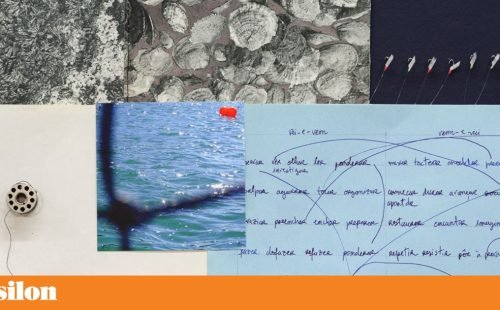 Cristina Robalo e a poética visual das profundezas e texturas