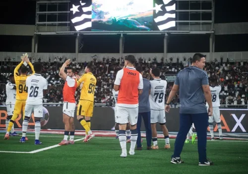 Botafogo sofre virada do Remo em casa e interrompe sequência positiva