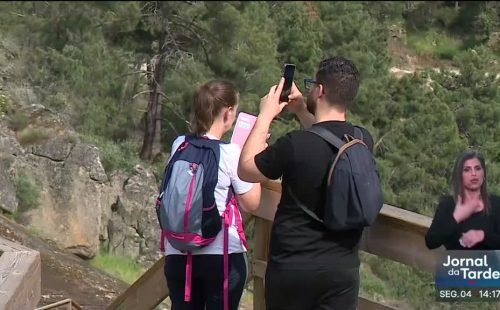 Passadiços de São Mamede de Ribatua: sucesso imediato impulsiona turismo no Alto Douro