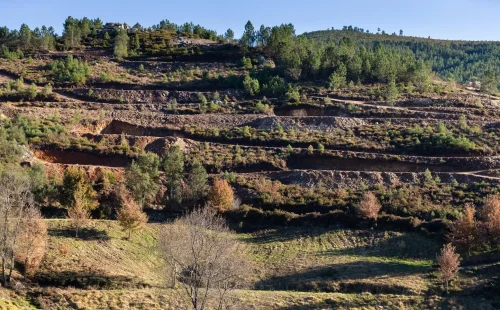 Portugal atinge limite de recursos naturais e entra em déficit ecológico