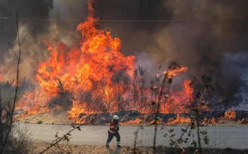 Proteção Civil alerta para alto risco de incêndios em Portugal, com foco em Pedrógão Grande