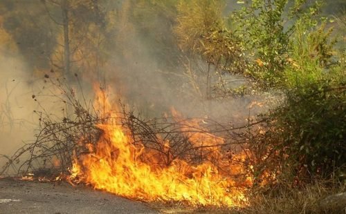 Fogo em vegetação de Faro consome veículos de locadora e mobiliza 38 agentes