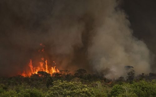 incendio-parque-nacionall_mcamgo_abr_16092024-7.jpg