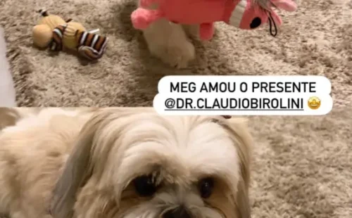 Michelle Bolsonaro publica foto de Jair Bolsonaro com tornozeleira eletrônica