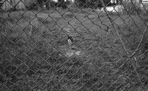 Obra de José Bértolo revela interseção entre cinema e fotografia na preservação da memória