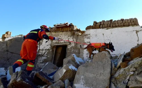 Terremoto no Tibete deixa dezesseis mortos e dezenas de feridos após tremor